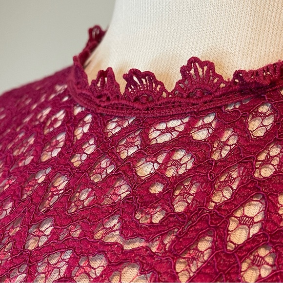 LOVE x Design Lace Sheer Panel Knee Length Sheath Dress Magenta Berry - Picture 6 of 6